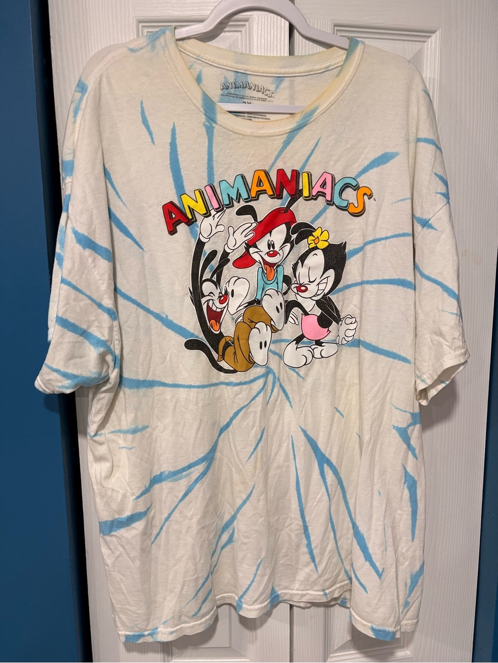 Animaniacs Tie Dye Graphic Tee 2X Retro Cartoon Shirt